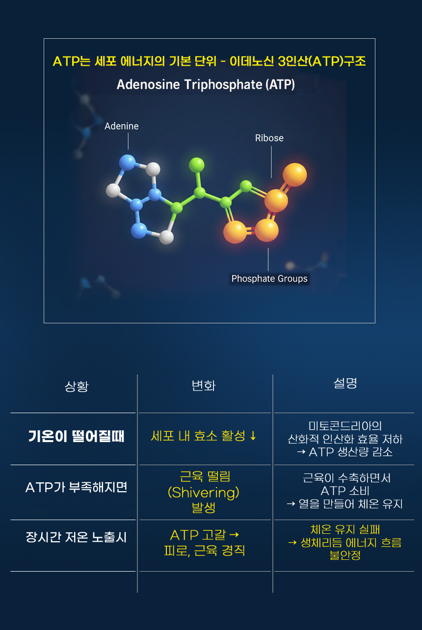 인사말_날씨와ATP.jpg