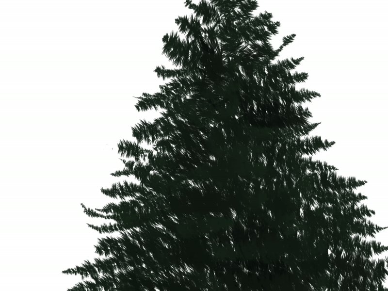 트리1.gif