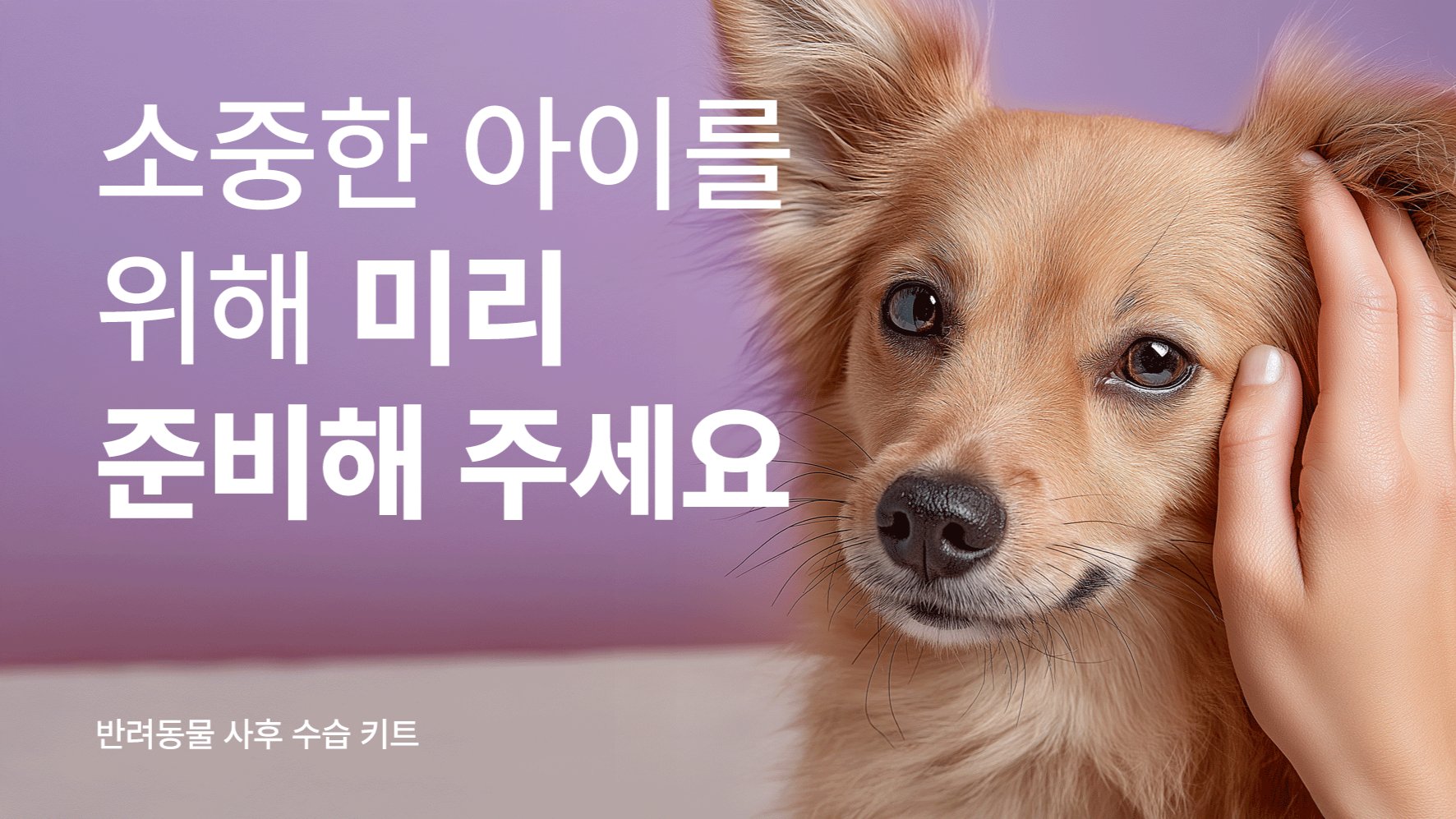 [포포즈 마지막 안녕 키트] 마지막 인사에 집중하는 사후 수습 키트