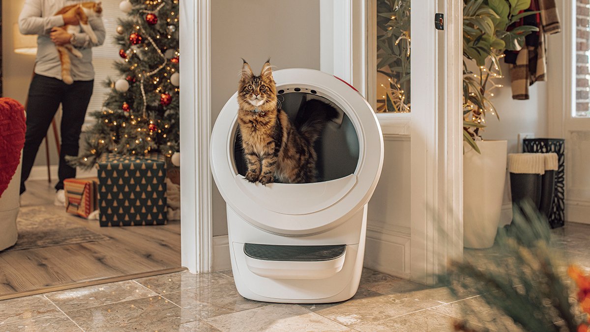 [4th Sold Out | Year-End Deal] Next-Gen Litter-Robot for Cats