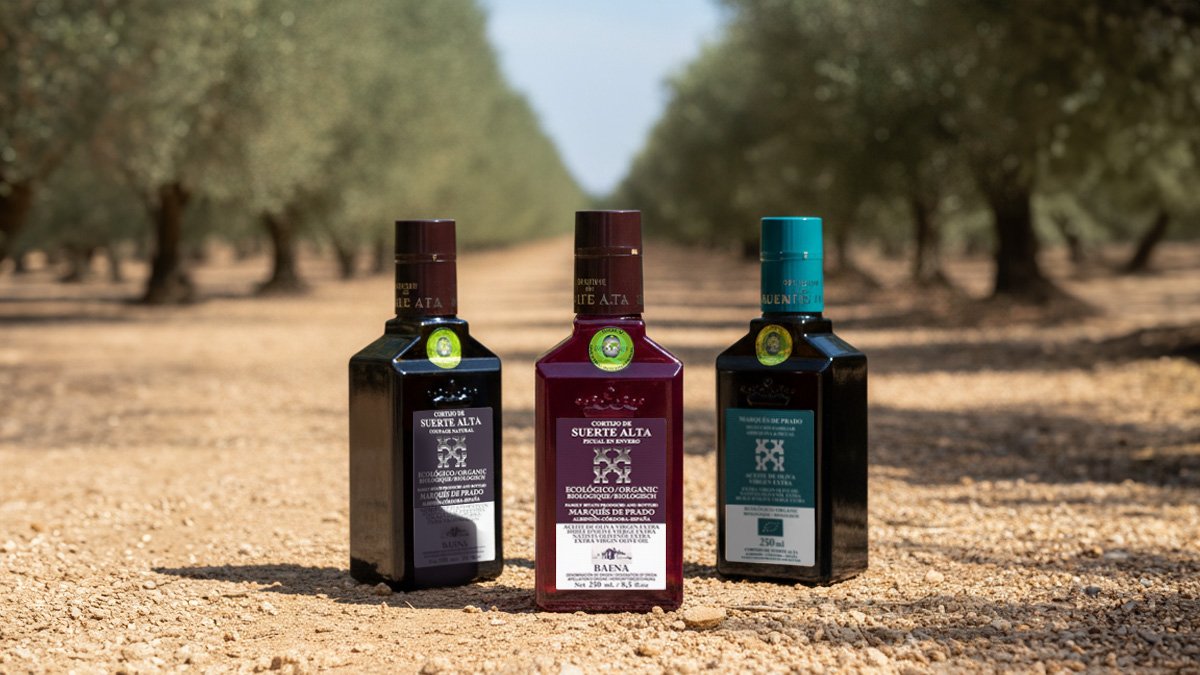 [와디즈 1등] 스페인 100년 가문 26년 꼬르띠호 햇올리브오일