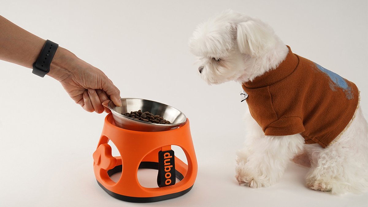 [Custom-Made] The Only Pet Bowl Tailored Down to the Color Name (Limited to 120 Units)