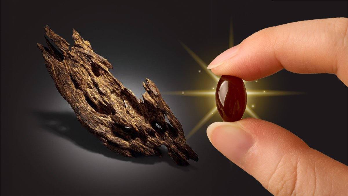 沈香の聖地ベトナム産、最高級KYNAMアガウッドソフトジェル