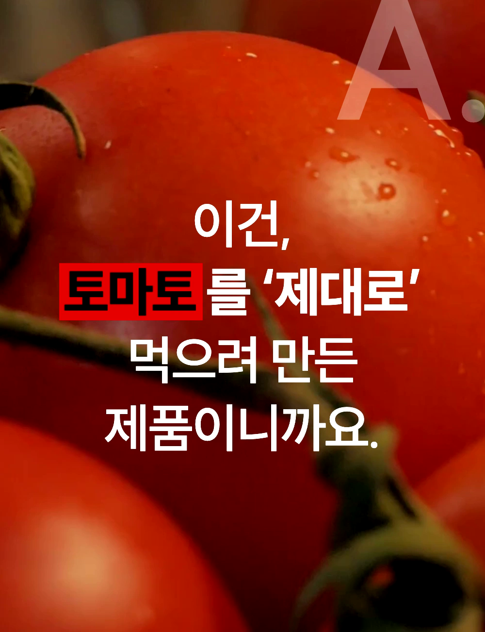 63.webp