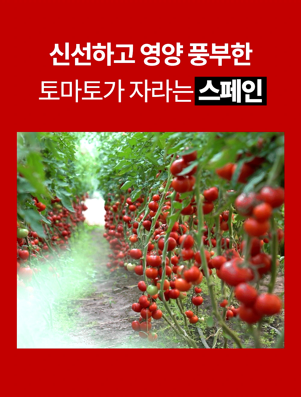 76.webp