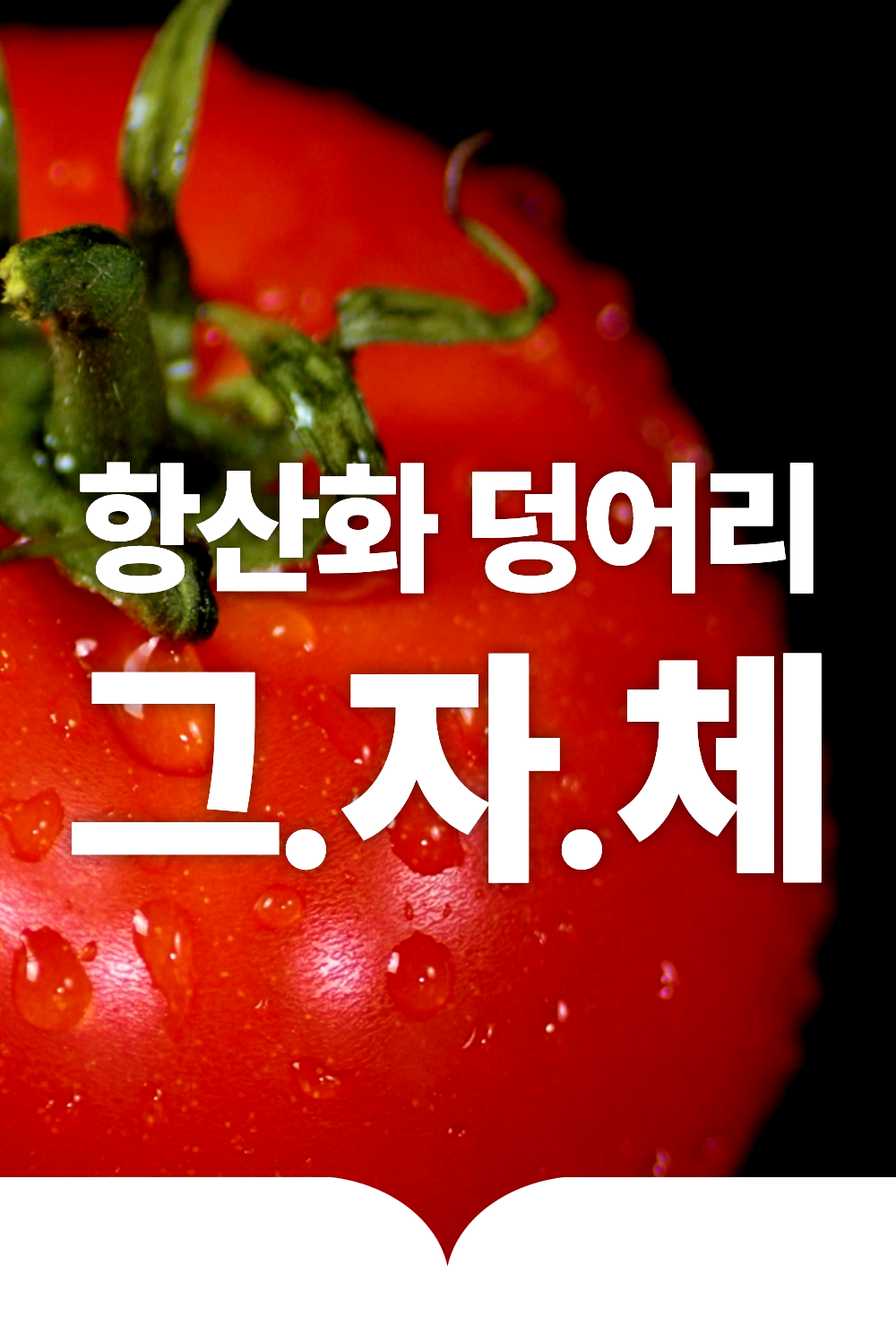 52.webp
