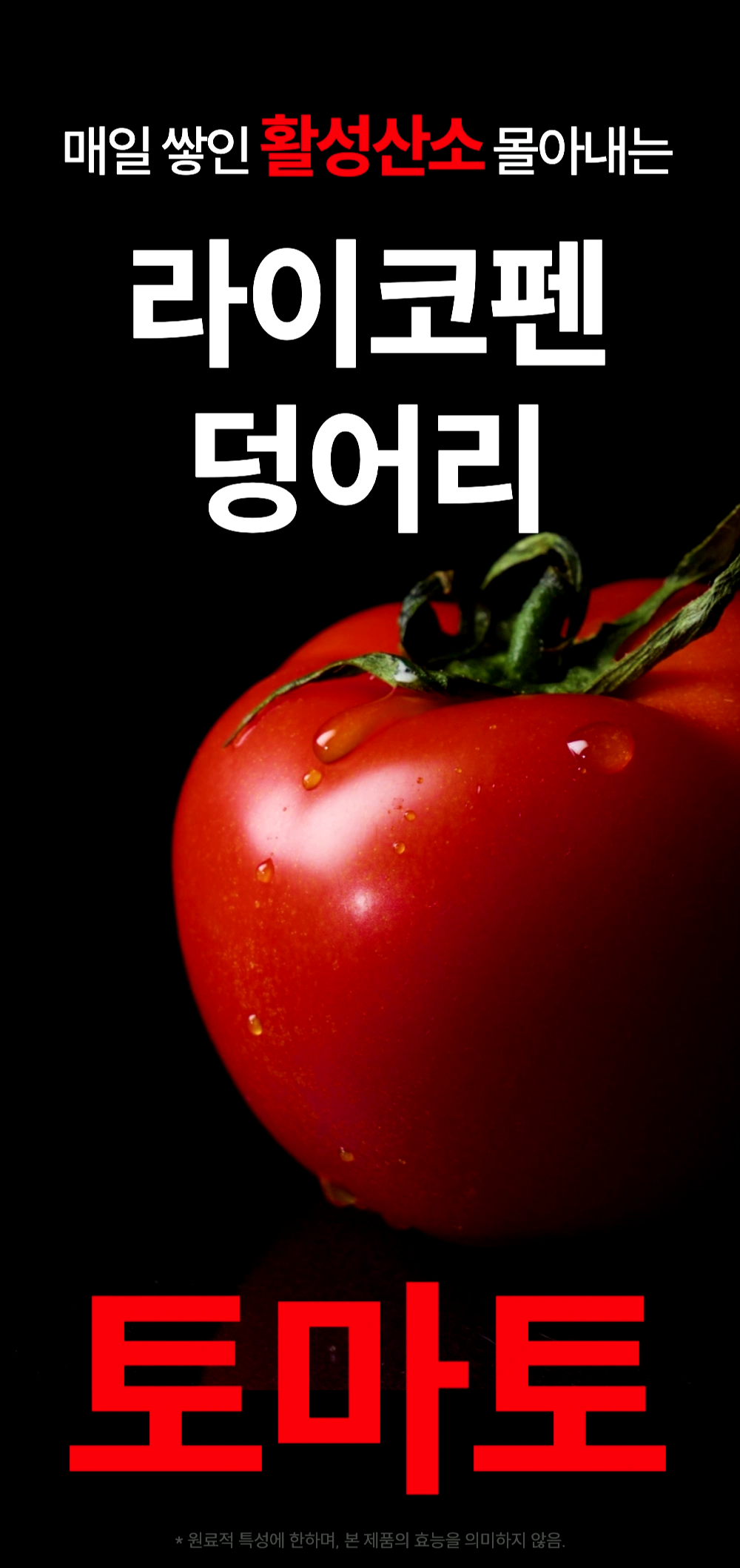 31.webp
