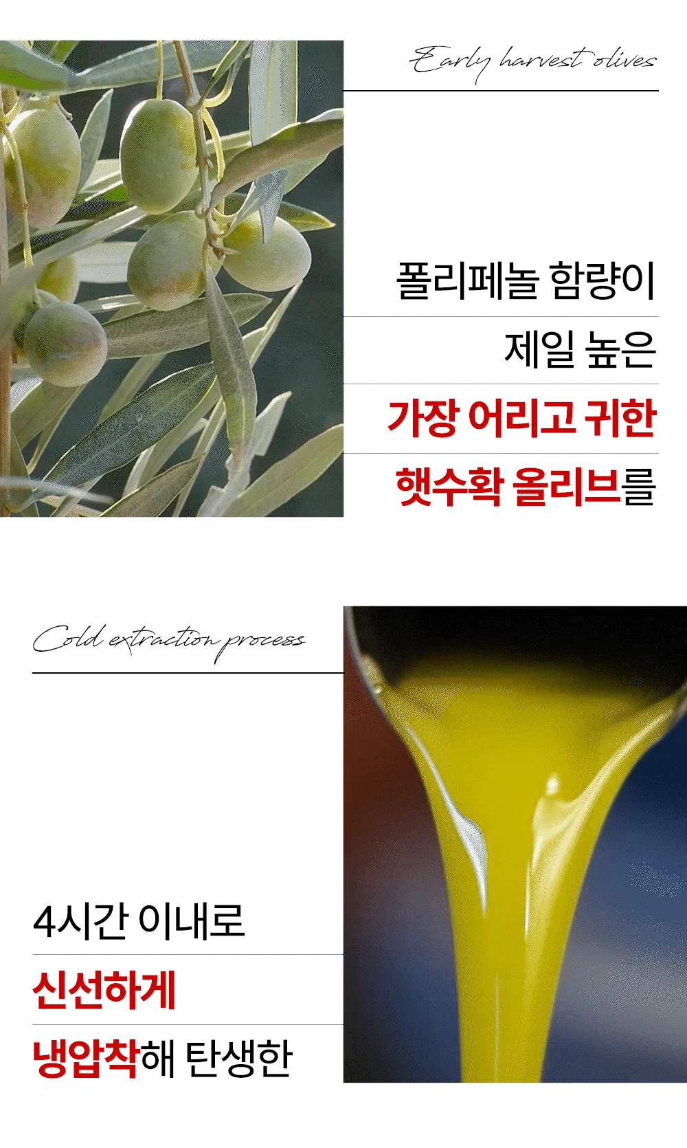 84.webp