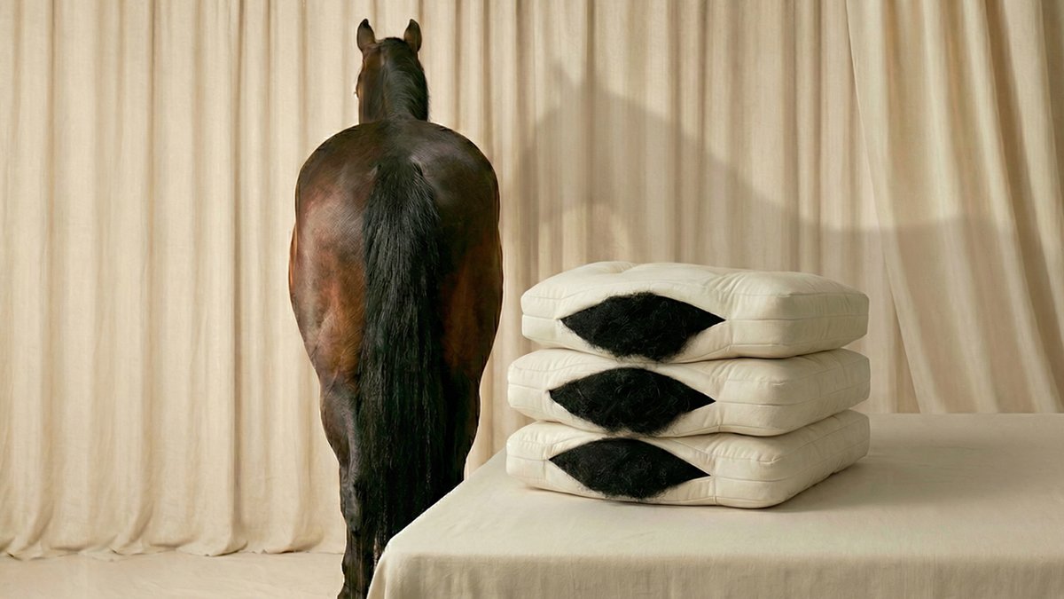 [生态破坏] 价值亿级的床垫材料，10万元内入手？放弃入驻百货