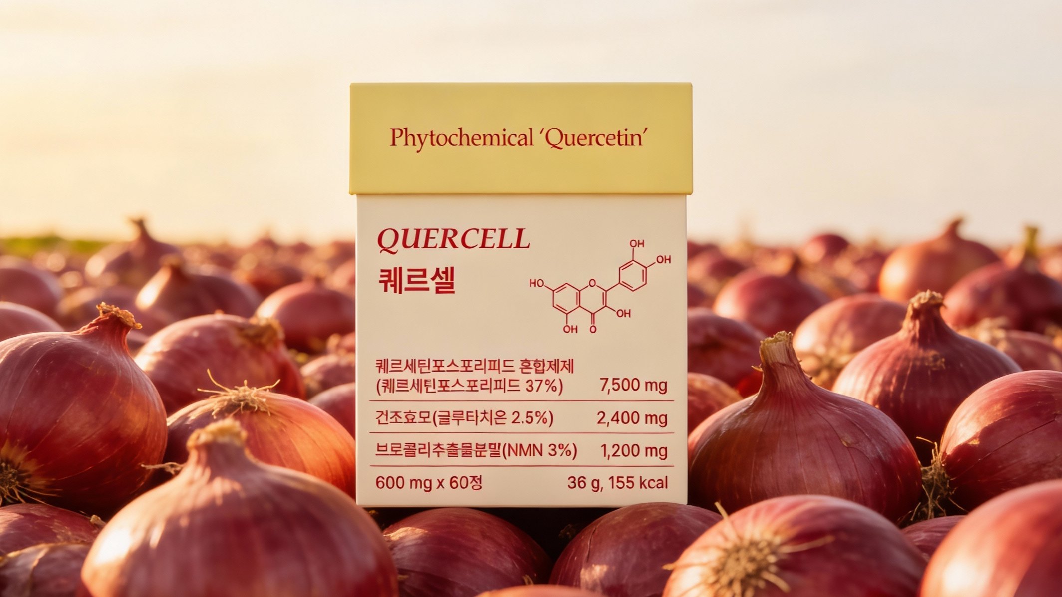 <마감임박> 양파 120개를 한 알에! 국내 최초 파이토솜 퀘르세틴