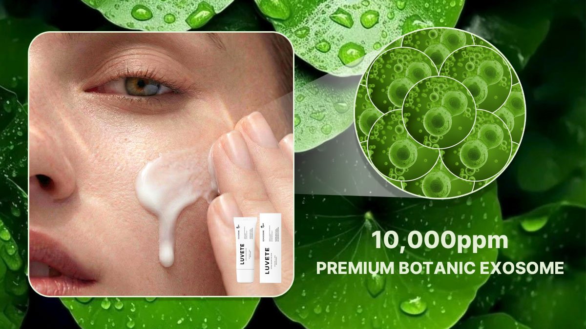 보정 NO! 100% 리얼 후기 & 2주 임상 식물 엑소좀 톤업선크림