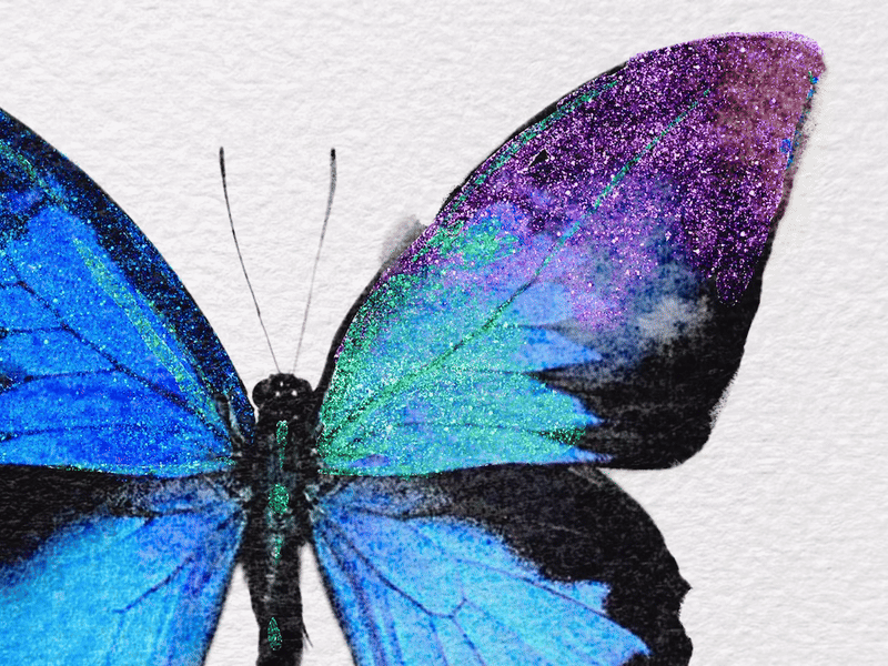펄3.gif
