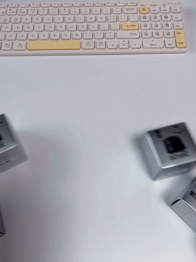 KakaoTalk_20260224_165545947.gif