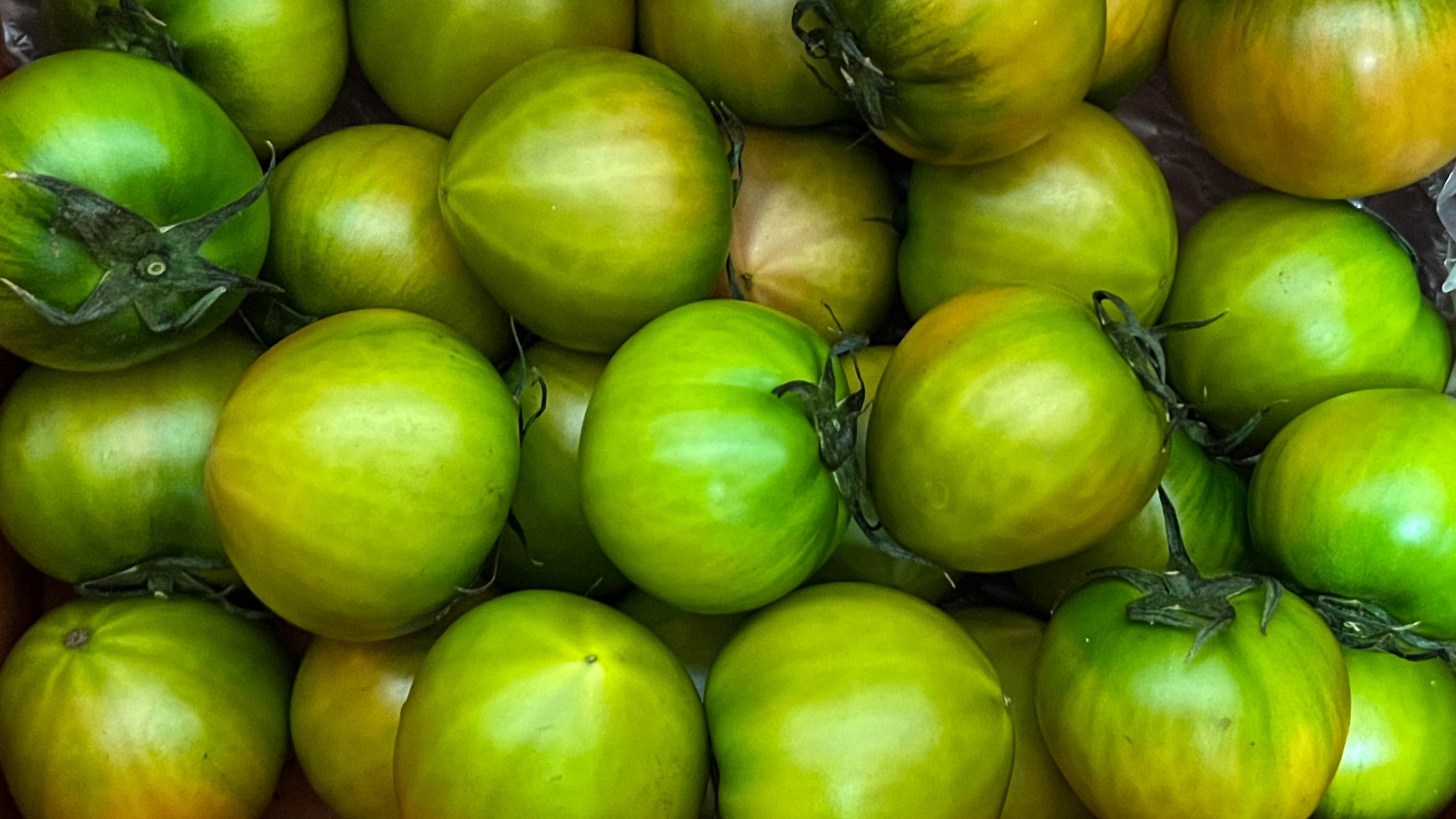 [Premium 3s Size] Intensely Savory-Sweet Umami in 3s Daejeo Salty Tomato