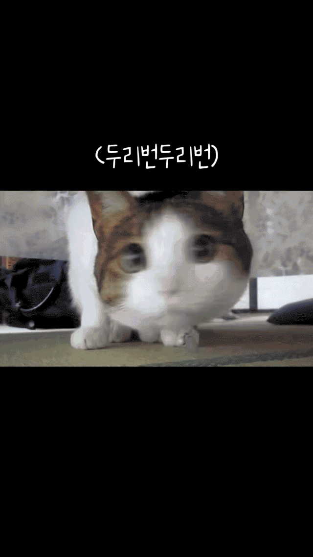 KakaoTalk_20260312_104228309-ezgif.gif