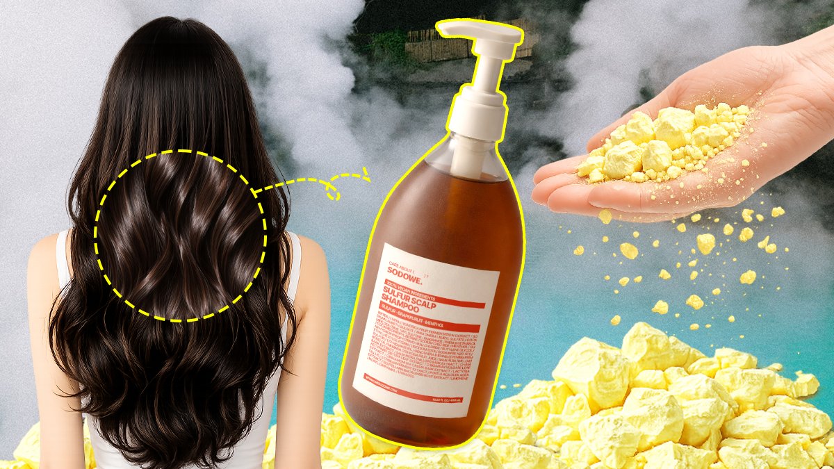 돌아온 와디즈 1등 샴푸, 모근 튼튼 정답은 유황입니다.