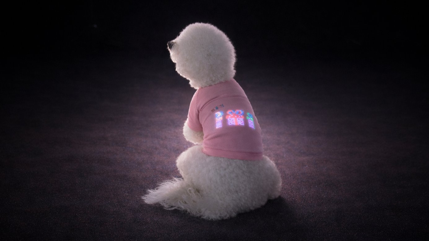 Night Walk Essential! First-Ever IT LED Dog Apparel [Patent]