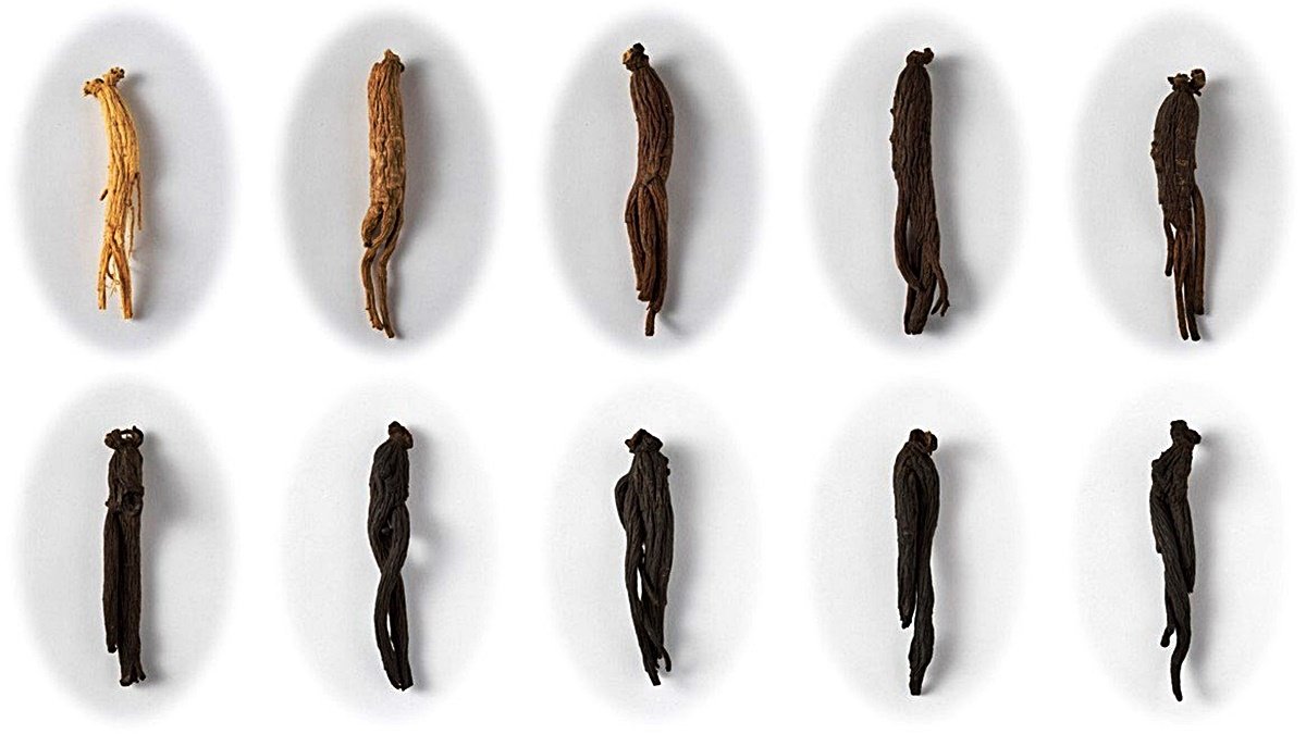Crafted through 9 steps: Premium 6-year-old Ginseng Black Extract by Kwangdong