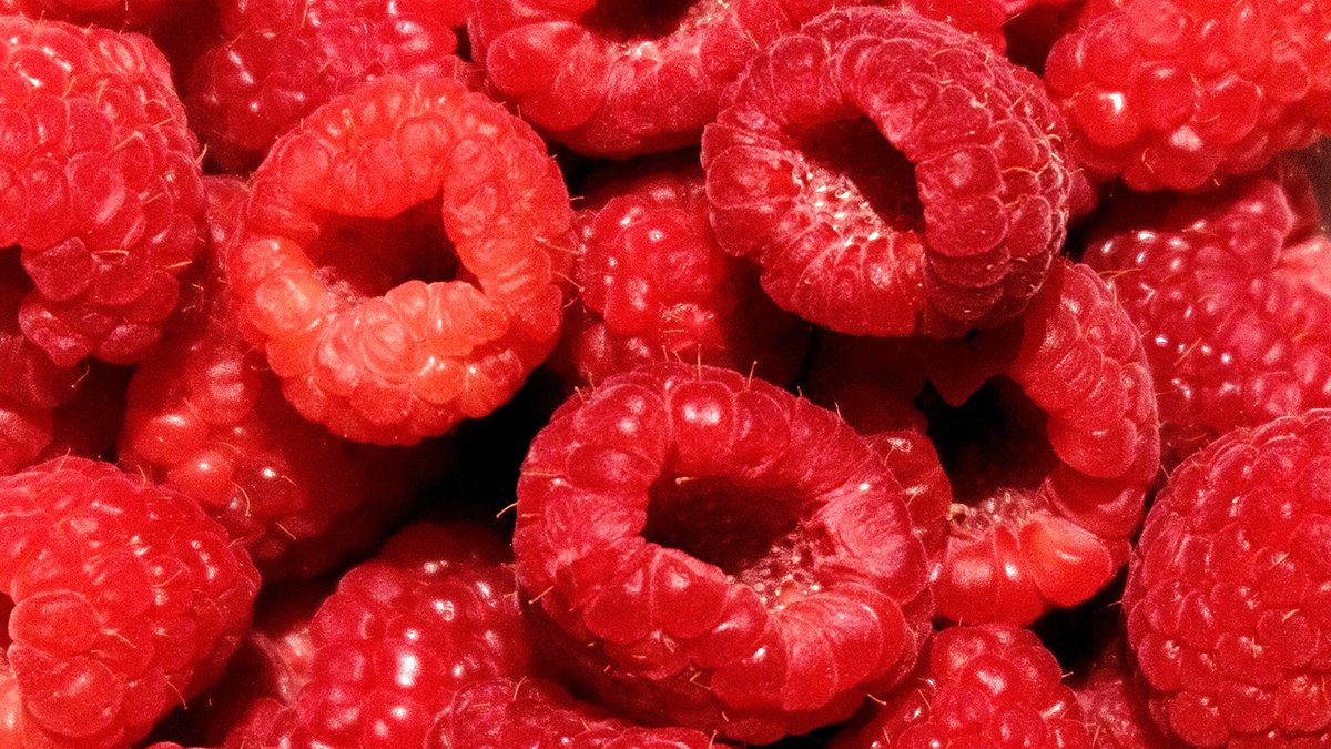Rating 4.5 | Fresh Wild Raspberries: Crisp Sweet and Pesticide-Free
