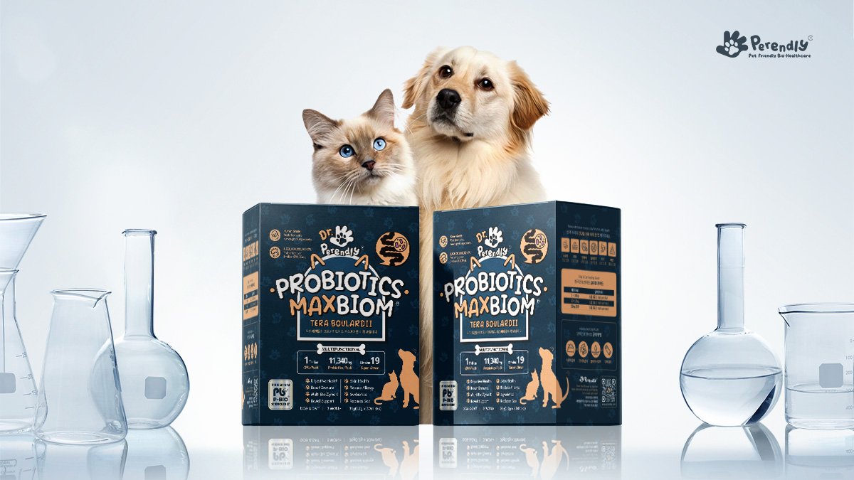 [#1 in N] 218 Studies Analyzed 2 Years of Research | Probiotics Perfected for Pets