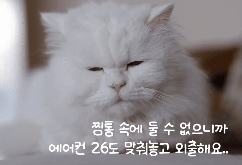 COOLPOTPAD-23.gif