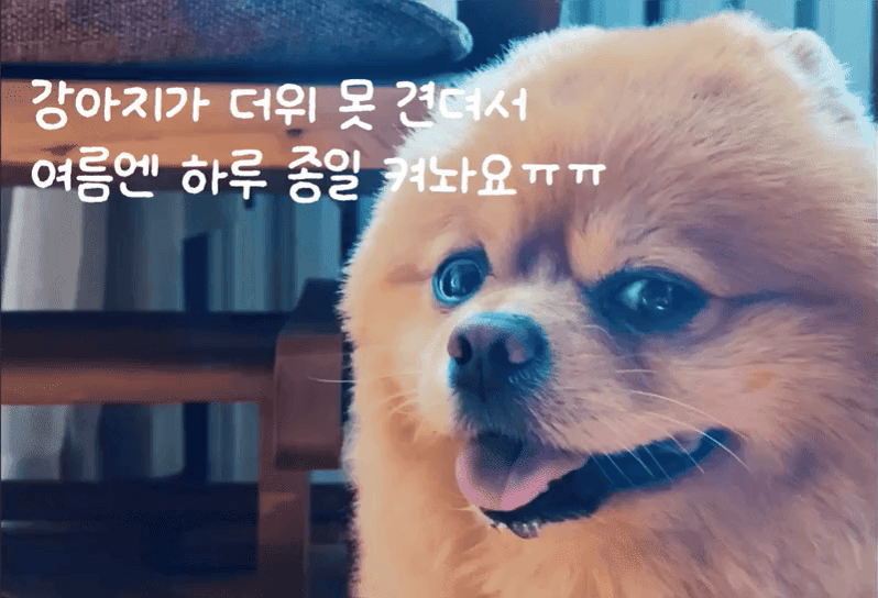 COOLPOTPAD-22.gif