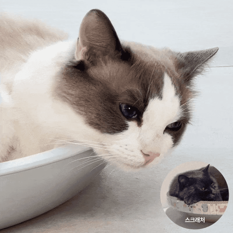 COOLPOTPAD-38.gif