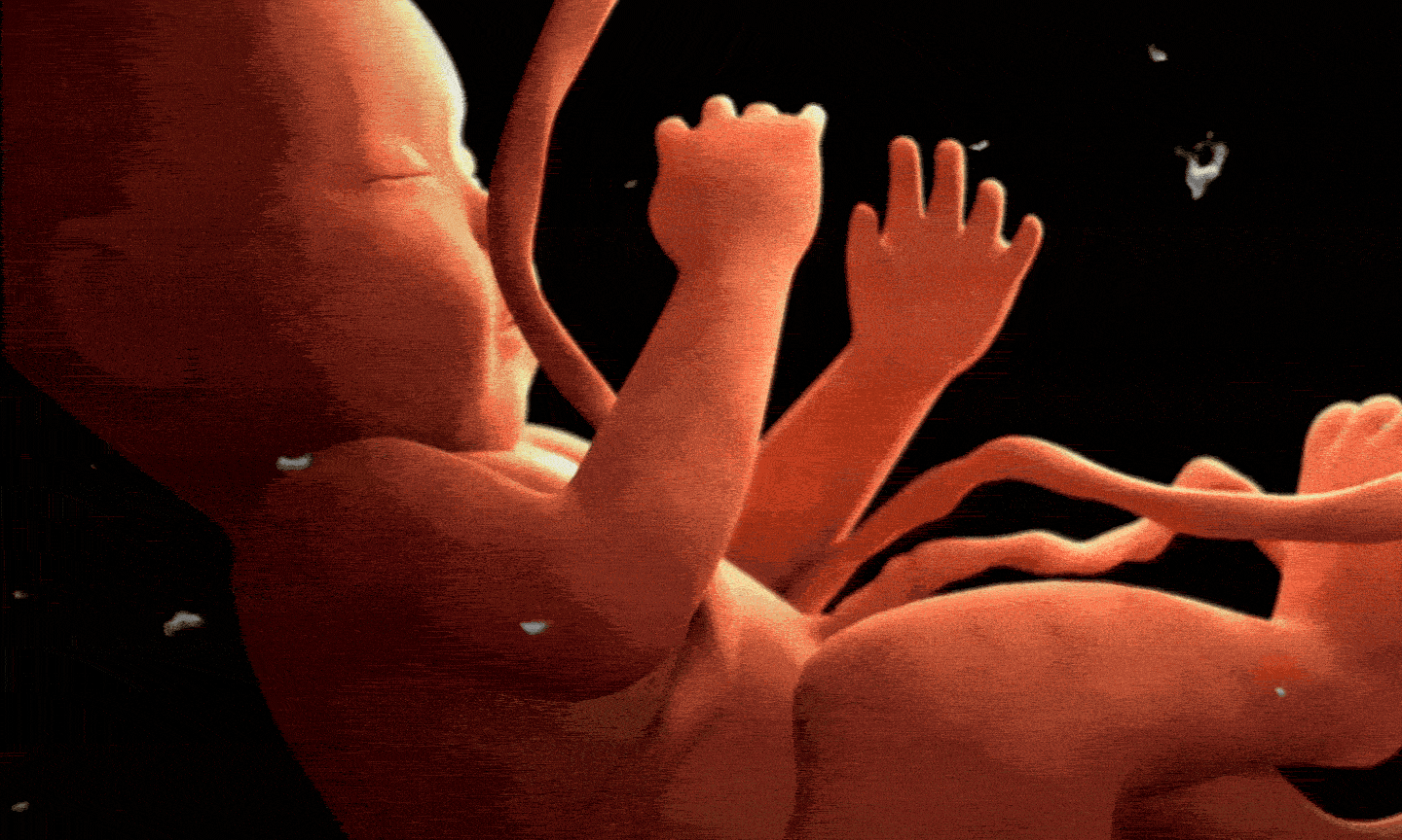 GIF-1440x864px2-ezgif.com-optimize.gif