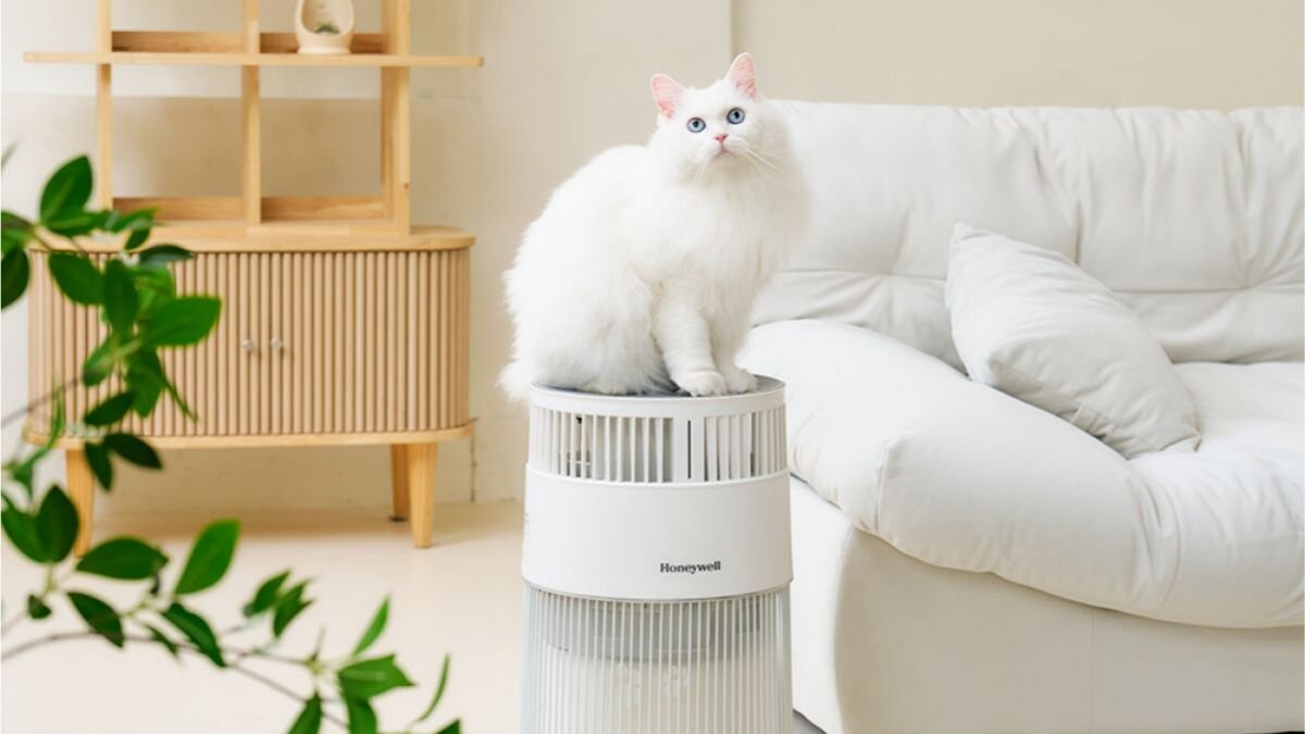 '털 흡착+고양이 특유의 악취 제거'까지? N사 1위 펫 공기청정기