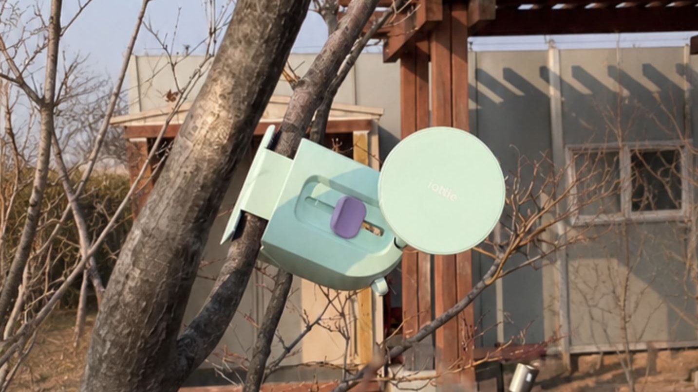 보정없는 실사| 만능 여행용 거치대를 고정력 때문에 나무에 붙여봤습니다.