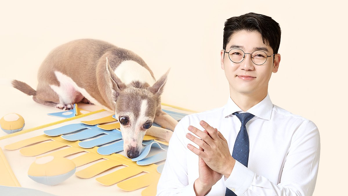 Wadiz今日热门项目TOP 10|2026年7月3日