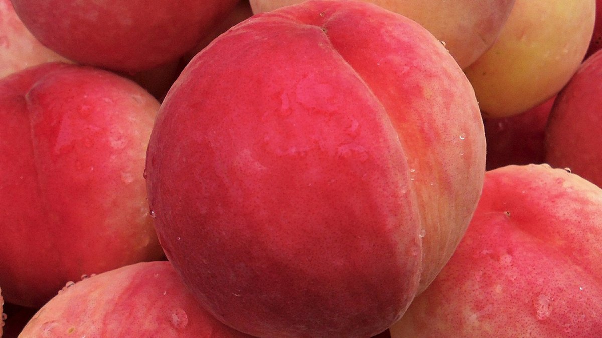 Unbelievable Texture and Flavor! Chewy White Peach Shinseolhyang & Mango Peach Golden Nectarine