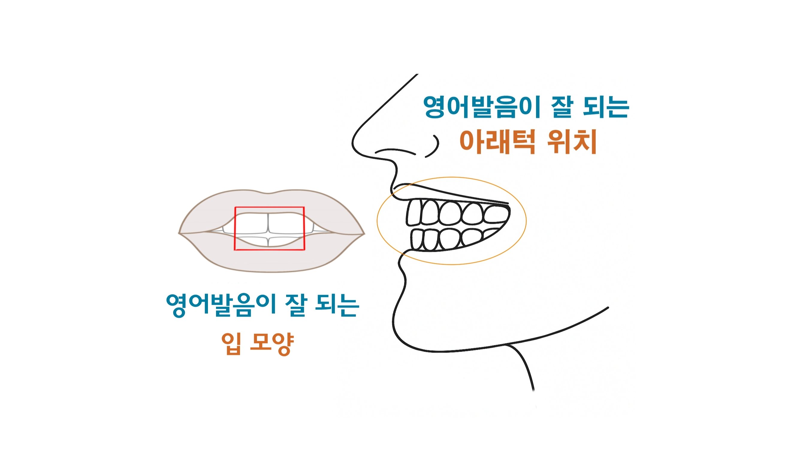 2개의 영어 특허로 완성!  영어회화+발음, 혁신적 단기 완성 프로젝트!