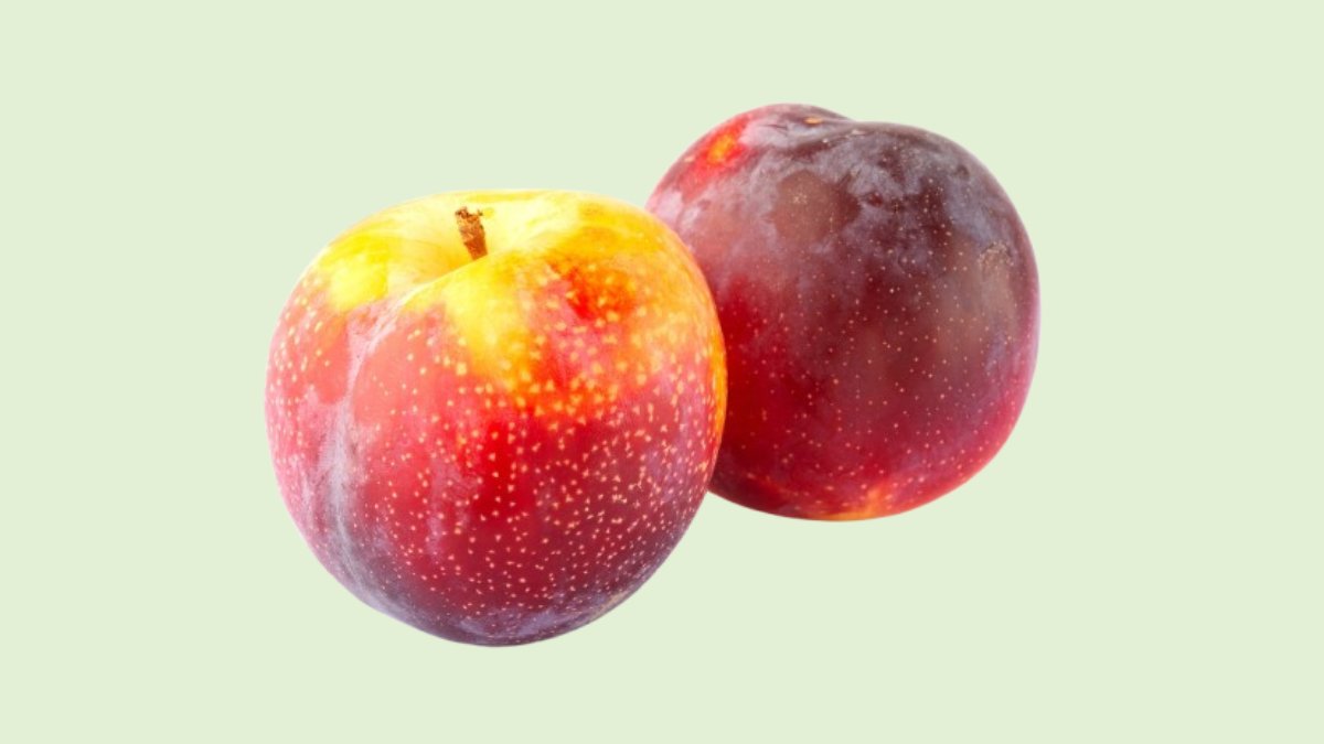 Plum Experts for 15 Years: Seasonal 'Chuhui Plums' by Master Farmers