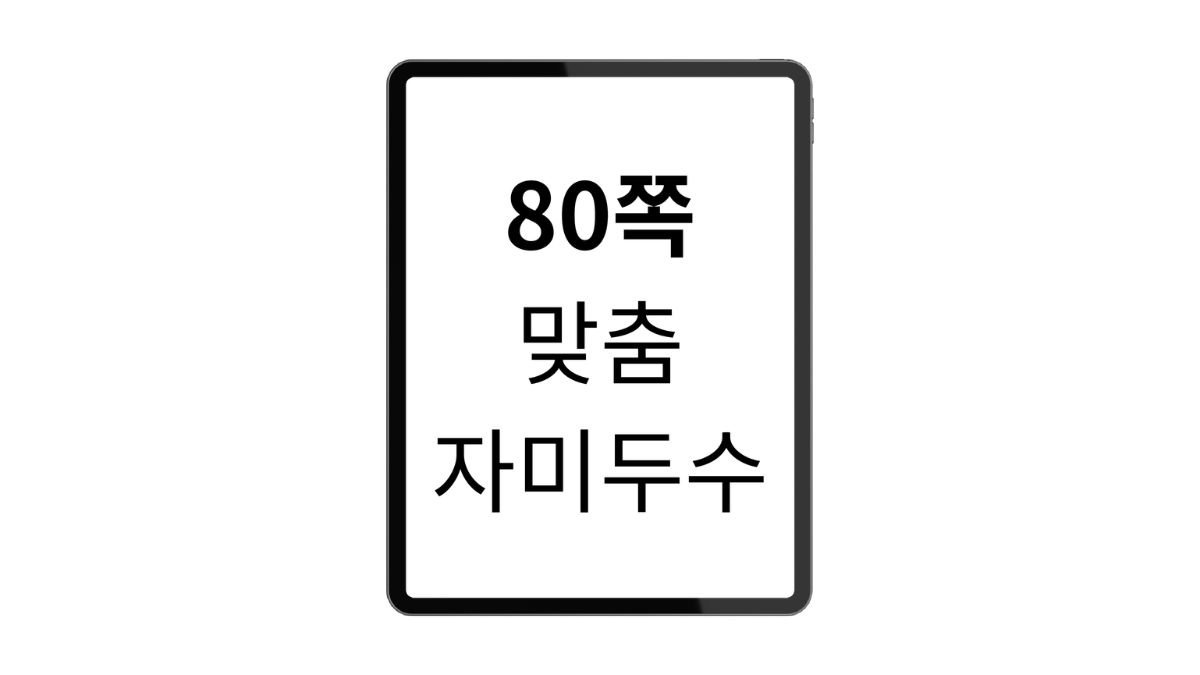 1대 1 맞춤 80쪽 자미두수