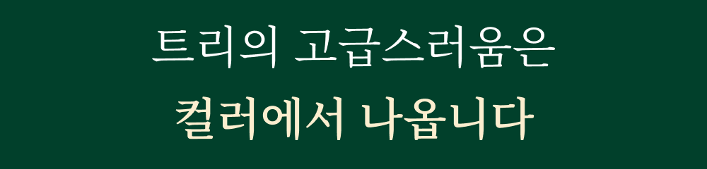 트리-챕터_04.png