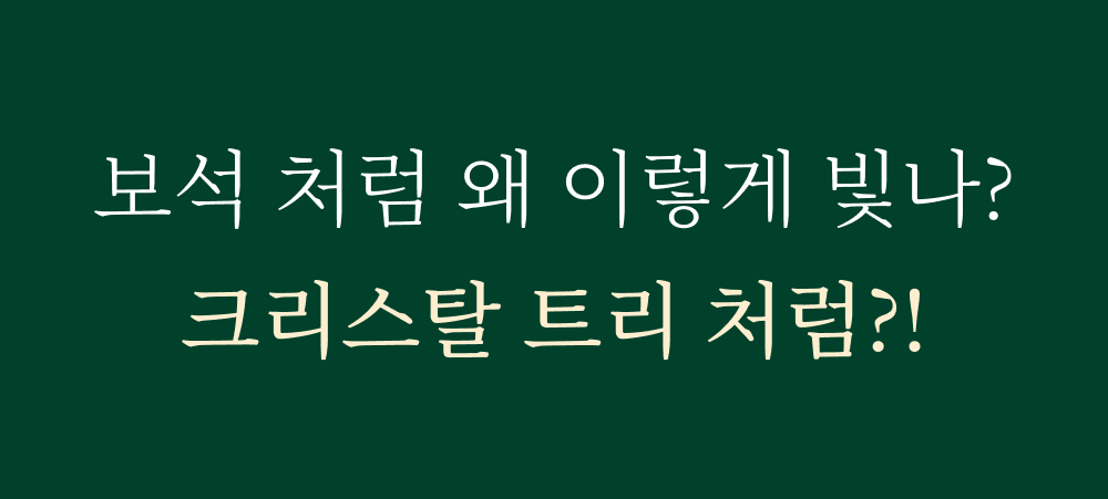 ㄹㄴㅇㄹ.jpg