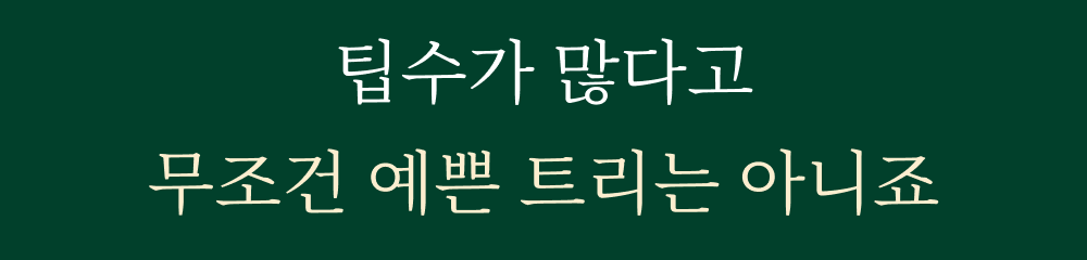 트리-챕터_02.png