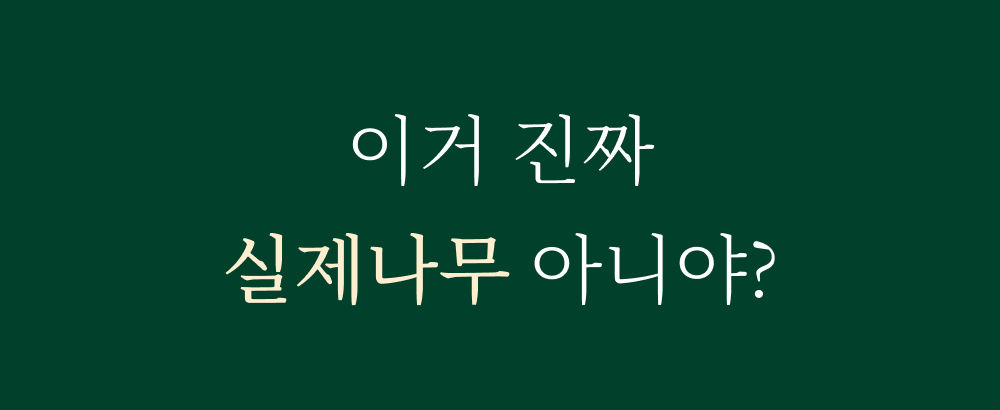 ㅣㅣ.jpg