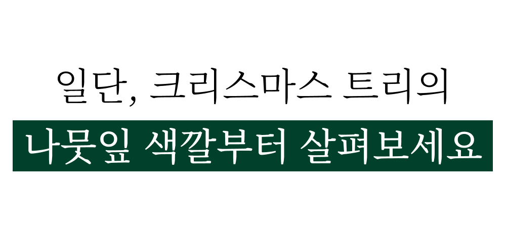 ㅇㅇㄹㅈ.jpg