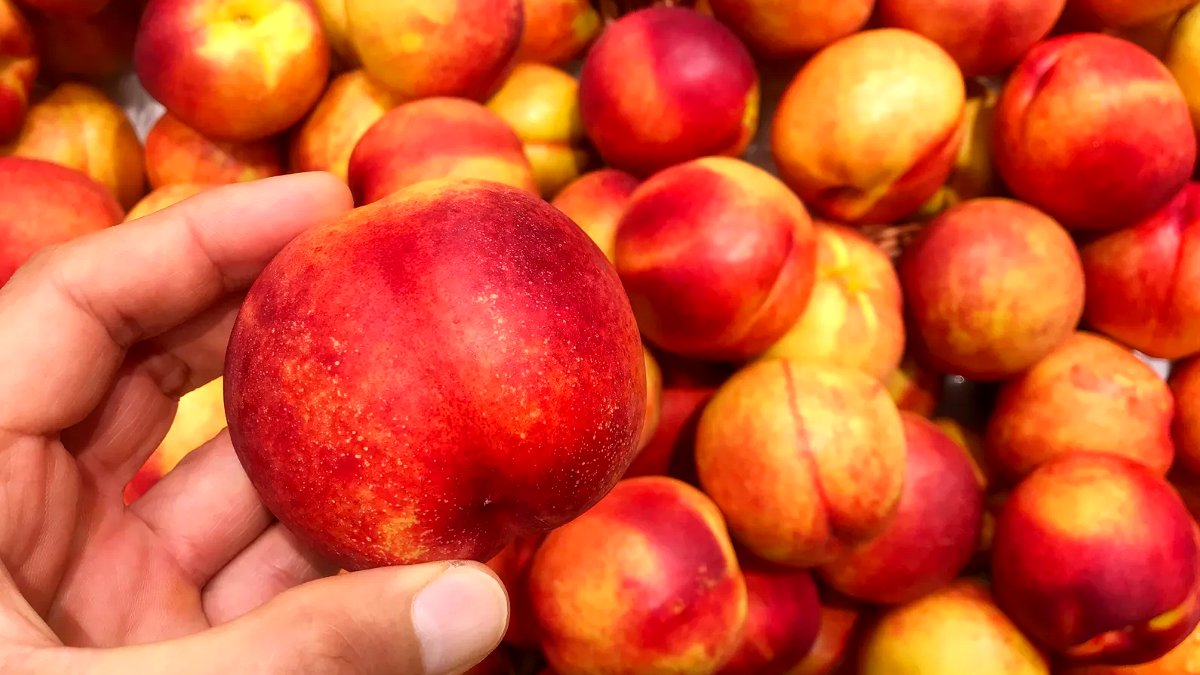 この夏、絶対に味わいたい旬の金紅桃！