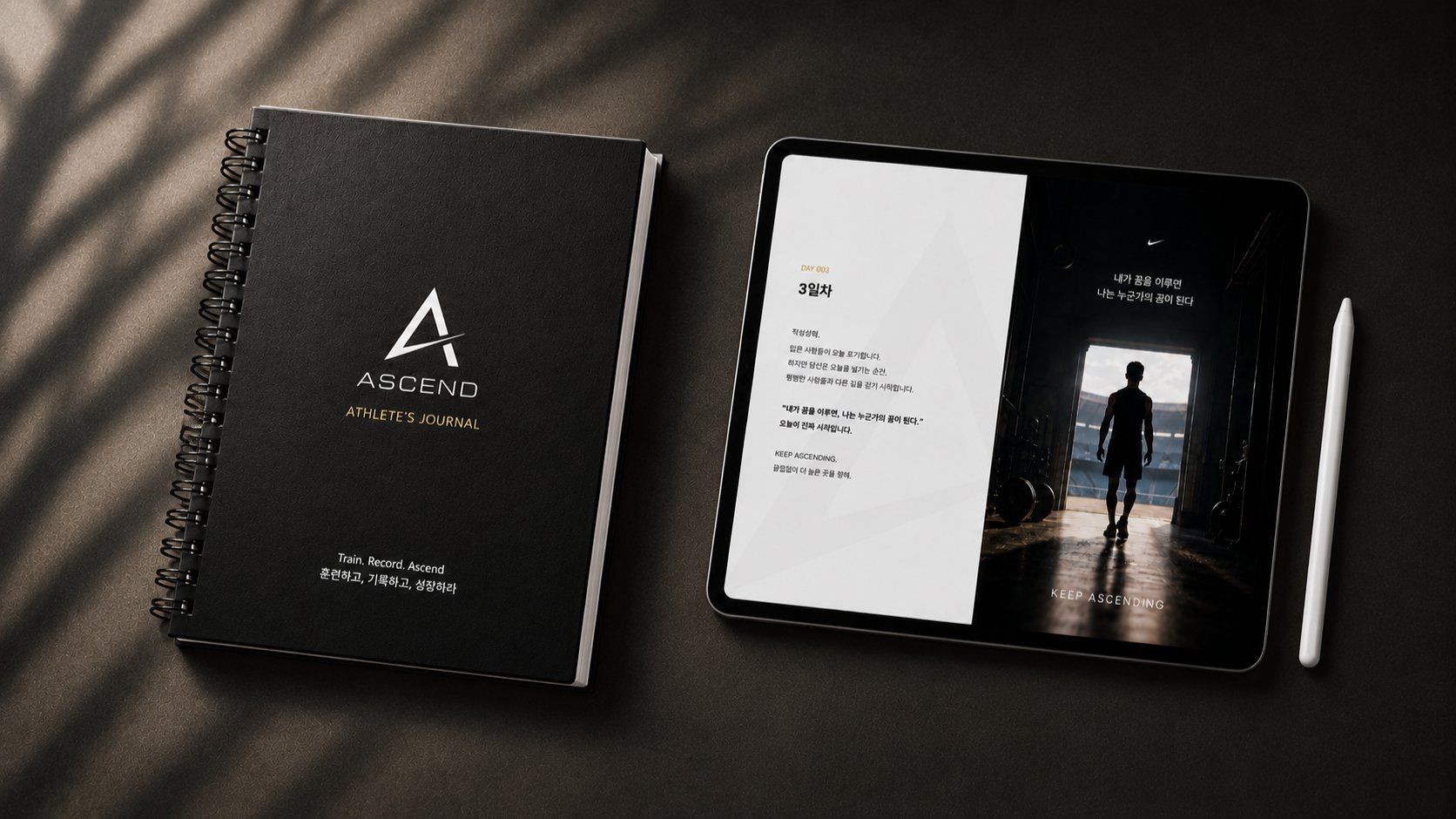운동을 기록하는 순간, 성장이 시작됩니다 | ASCEND 운동일지