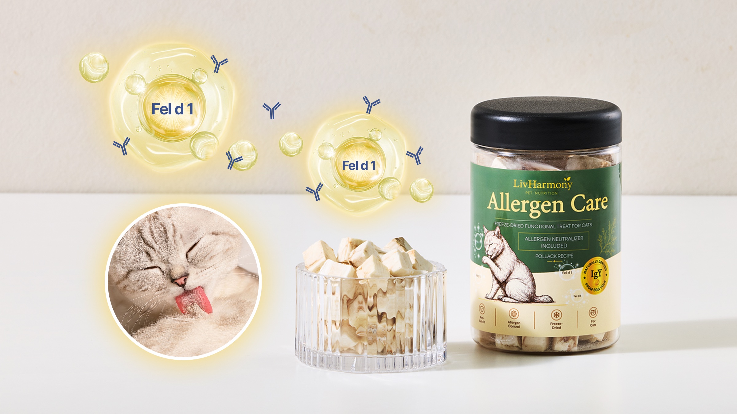 Cat Hair Allergy? Meet Fel d 1 The Real Culprit! Allergen-Care Treat for Devoted Cat Parents