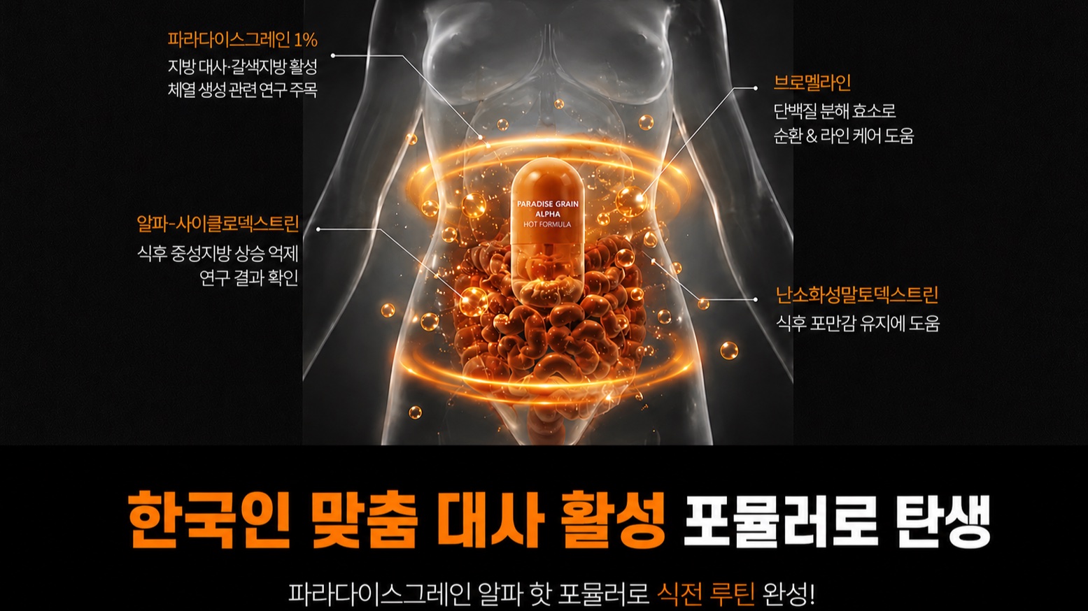 [해외대란템] 체지방을 태워주는 파라다이스그레인 핫 포뮬러 2정 루틴