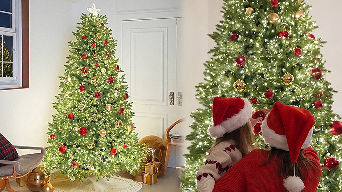 [2.8 Billion Sold] J-Dot Premium Tree Full Set | Unbeatable Off-Season Deal